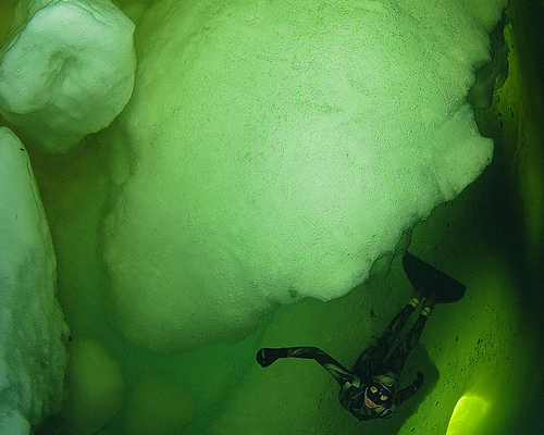 Под льдом Белого моря